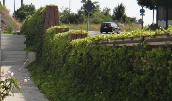 Mur végétalisé - Langon - Sylvie Barrière Concept 