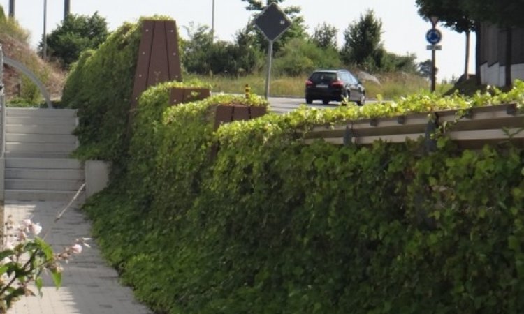 Mur végétalisé - Langon - Sylvie Barrière Concept 